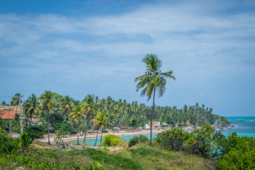 Beaches of Brazil - Maragogi, Alagoas State