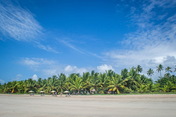 Beaches of Brazil - Maragogi, Alagoas State