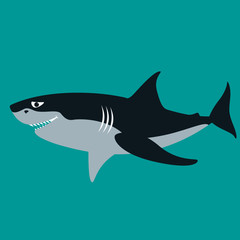 shark  vector illustration ,flat style ,profile 