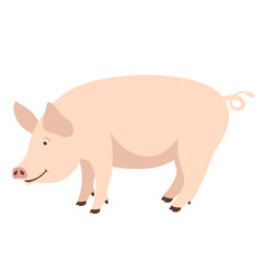 cartoon pig , vector illustration ,flat style ,profile 