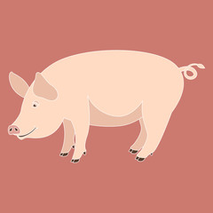 cartoon pig , vector illustration ,flat style ,profile 