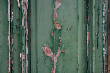 old wooden gate in green paint