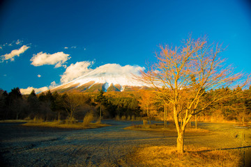Mt. Fuji in Fuji, Japan. Fuji is one of the important cities in Japan for cultures and business markets.
