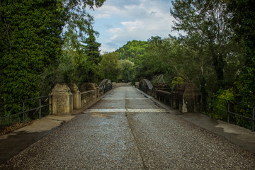 empty narrow wet car road after ray with path way through bridge