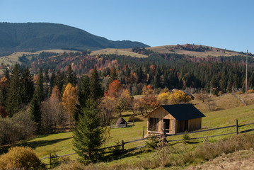 Fototapeta na wymiar Colorful autumn landscape in the mountain village. Sunny day in the Carpathian mountains. Ukraine, Europe.