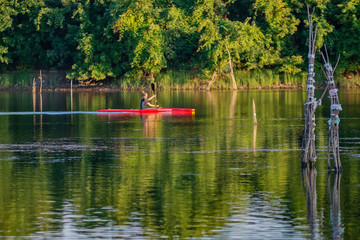 Novi Sad, Serbia - August 04, 2018: Danube island (Šodroš) near Novi Sad, Serbia. Man in kayak paddling on river.
