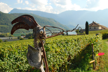 Scenic view of apple orchards near Kaltern town, South Tyrol, Italy