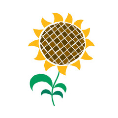 summer sunflower hand-drawn style illustration on white background
