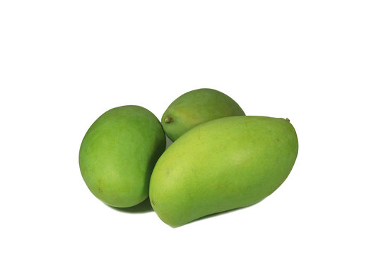 “Young Mango” Imagens – Procure 38 fotos, vetores e vídeos | Adobe Stock