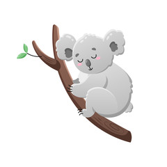 Cute cartoon koala. Vector isolated illustration on white background. Koala on tree among the branches. Template for design, print.