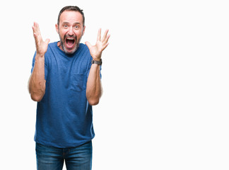 Fototapeta premium Middle age hoary senior man over isolated background celebrating crazy and amazed for success with arms raised and open eyes screaming excited. Winner concept