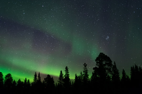 Aurora Borealis above boreal forest