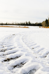 Fototapeta na wymiar Tire tracks in snow