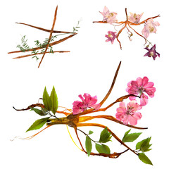 application  bouquet of dry bizarre lily petals and pressed multicolor flowers