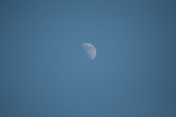 Mond