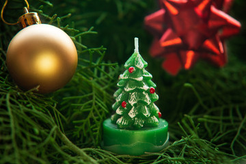 Christmas tree candle on fir branches.
