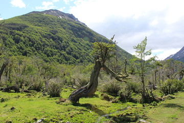 Landscape  National  Park  