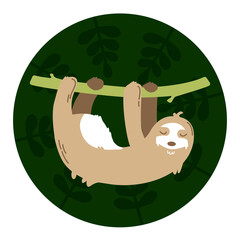 Sloth hanging on a branch in a green background
