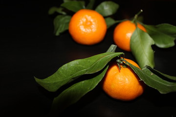 tangerines with leaves 