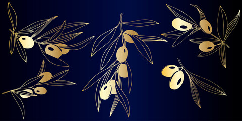 Vector Golden olive branch. Plant botanical foliage. Golden engraved ink art. Isolated olive illustration element.