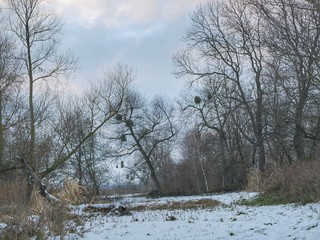 Polonne / Ukraine - 4 December 2018: Snowy landscape by the Narew river valley. Beautiful winter. 