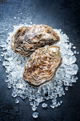 Fresh rock oyster offered as closeup on crushed ice with copy space