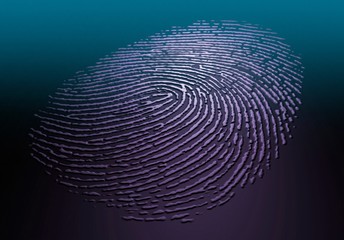 Human fingerprint, illustration