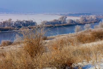 Dry golden grass and shrubs in the sun on the banks of the river Southern Bug on a winter day.