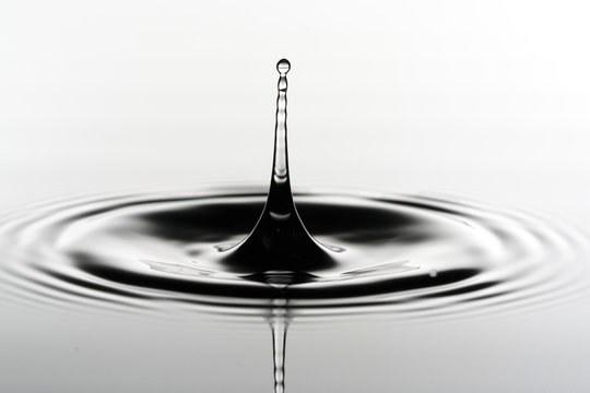 Drop Images Browse 3 795 945 Stock Photos Vectors and Video Adobe Drop Images Browse 3 795 945 Stock Photos Vectors and Video Adobe