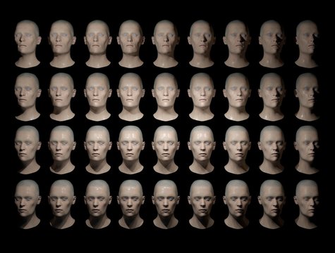 Identical heads, illustration