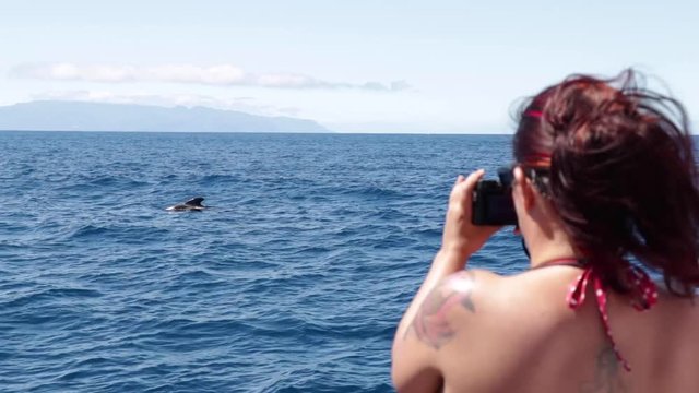 Girl taking pictures of dolphin