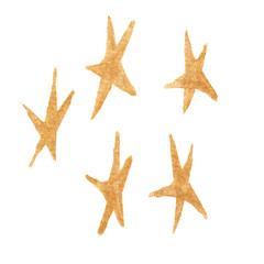 Fototapeta na wymiar Set of five simple decorative stars painted with golden acrylic on white isolated background