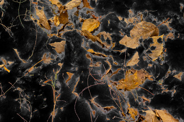 Black abstract background with yellow leaves on it