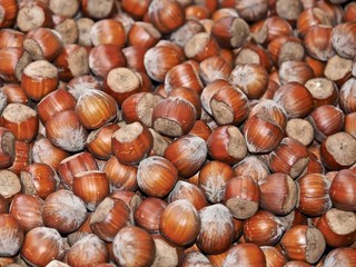 Makro von einem Haufen Haselnüsse mit Schale