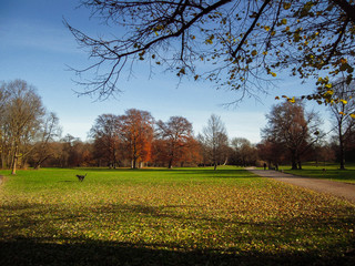 Autunno al Giardino Inglese, Monaco di Baviera