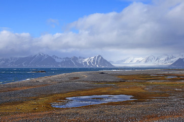 Tundra lake in Hornsund (fjord), Hansbreen glacier in background, Svalbard
