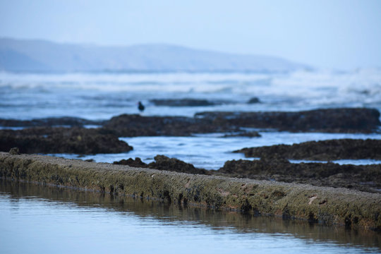 Calm Water In A Manmade Tide Pool With Rocks And Waves Defocused Background