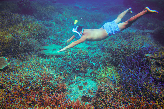 Man snorkeling in coral reef. Man dives in full face mask undersea. Snorkeling in tropical sea underwater photo.