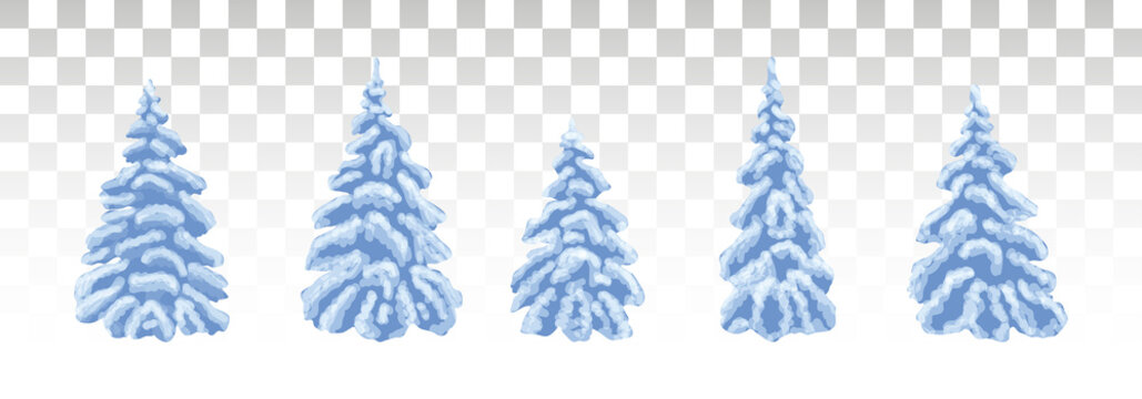 Blue Christmas tree in the snow. Frosty winter nature. A set of snow-covered pine trees. Drawing. Vector Illustration. Eps 10.