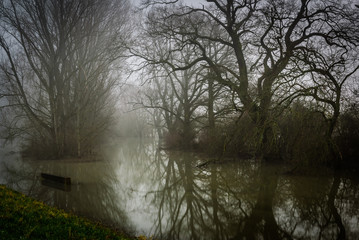 Misty autumn day, trees reflecting beautifully in the water