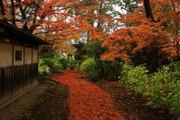 Naklejka premium 紅葉の一ノ倉邸