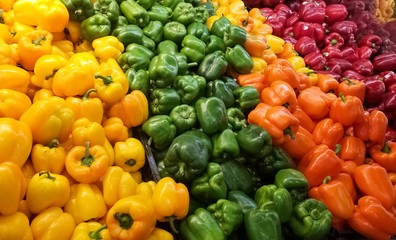 Heap of bell peppers on the shelf of a supermarket or grocery store. Colorful shiny vegetables. Green, purple, yellow and orange bell peppers.