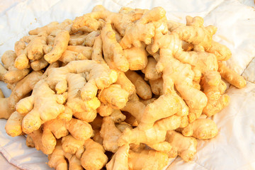 fresh ginger