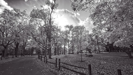 Autumn