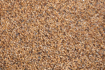 Surface sand grains background