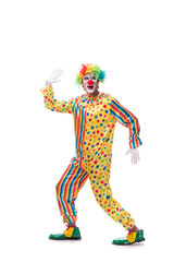Funny clown isolated on white background