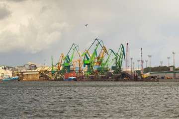 Fototapeta premium Heavy harbor jib cranes in the Klaipeda Sea Port, Lithuania.