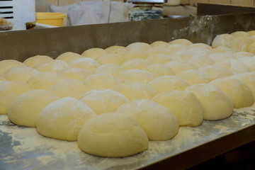 Bread dough in balls on metal trays rising waiting to be cooked
