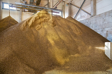 Granules of rape cakes in the agricultural factory for the production of rapeseed oil.