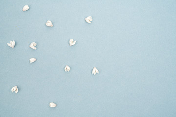 Dainty white tiny blooms scattered on blue background